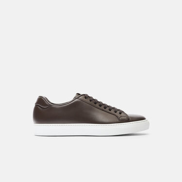 Scarosso Ugo Dark Brown Dark Brown - Calf UGOSNEA Scarosso Ugo Dark Brown Dark Brown - Calf UGOSNEA