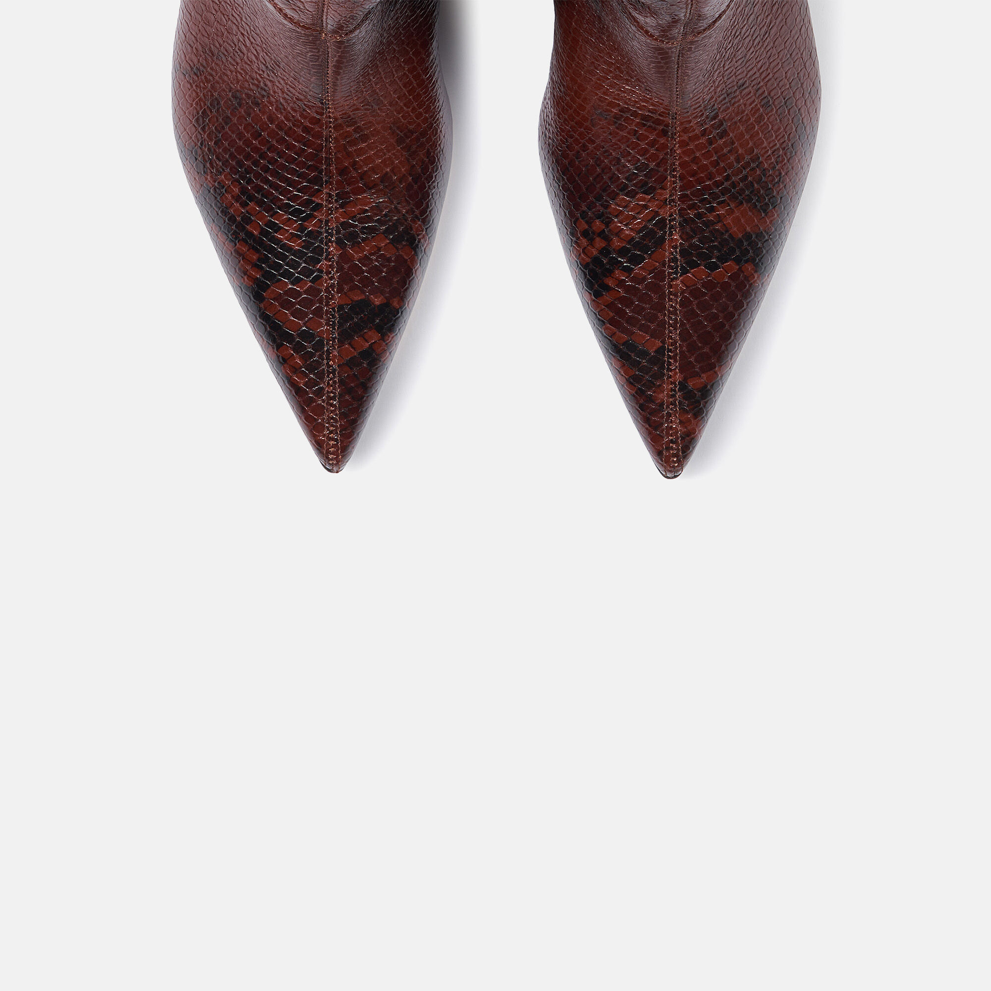 Scarosso Barbara Brown Snake Brown - Snake-Printed Calf BARBARABOOT
